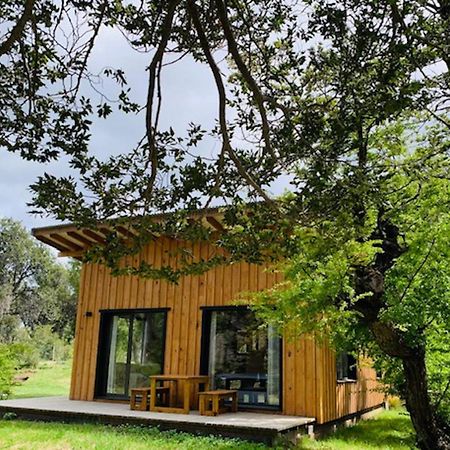 Kingfisher De Los Andes Villa Meliquina Exteriér fotografie