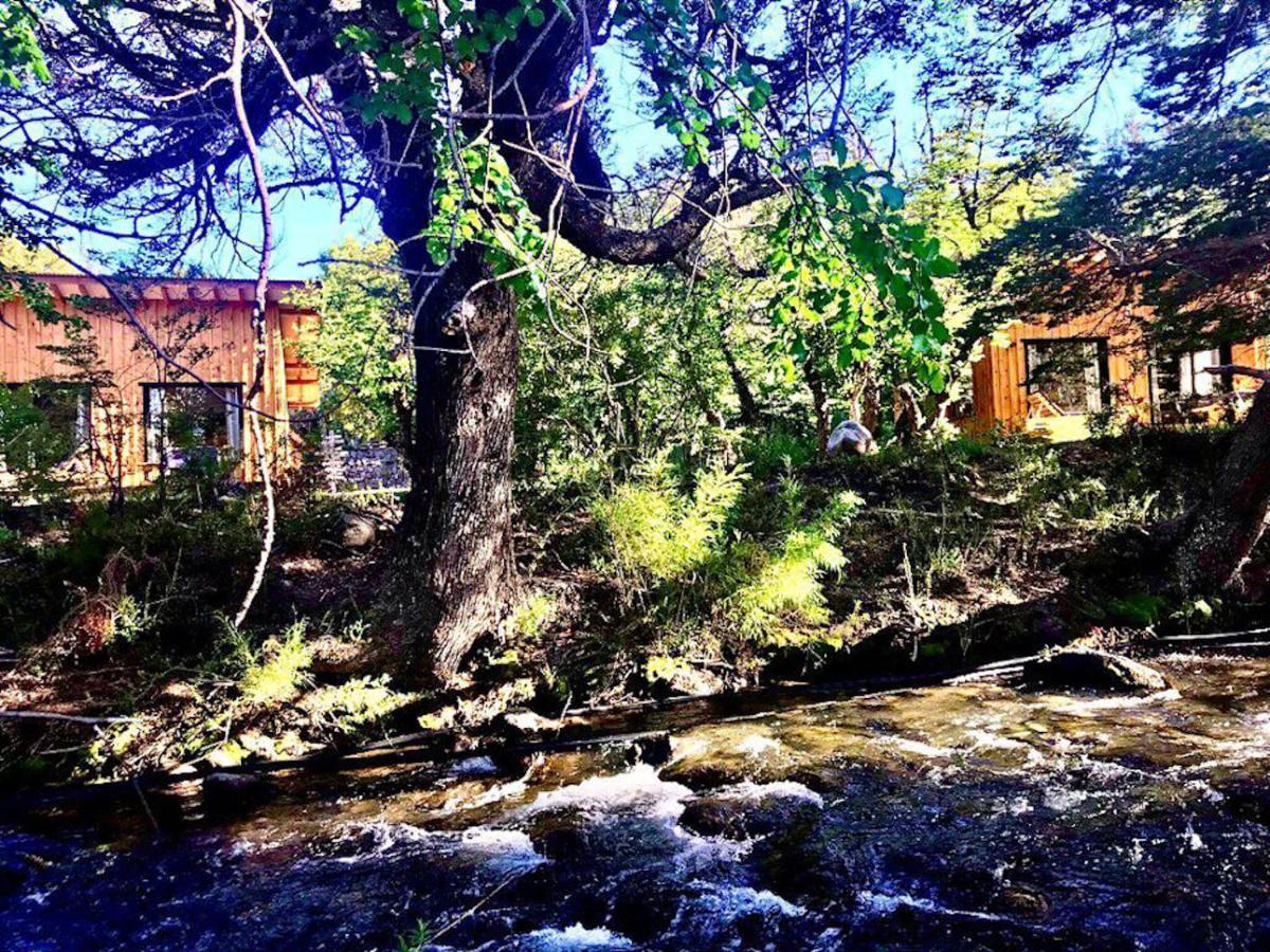 Kingfisher De Los Andes Villa Meliquina Exteriér fotografie
