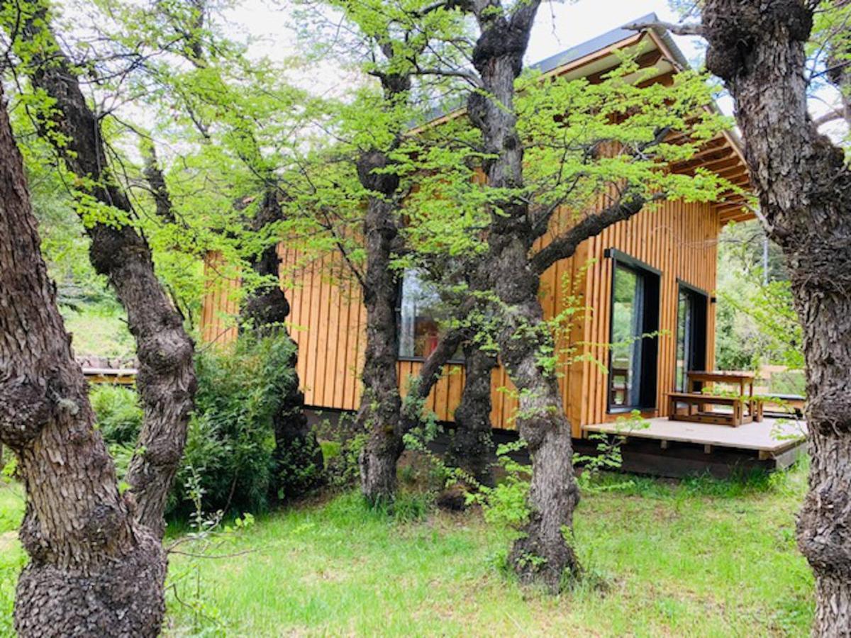 Kingfisher De Los Andes Villa Meliquina Exteriér fotografie