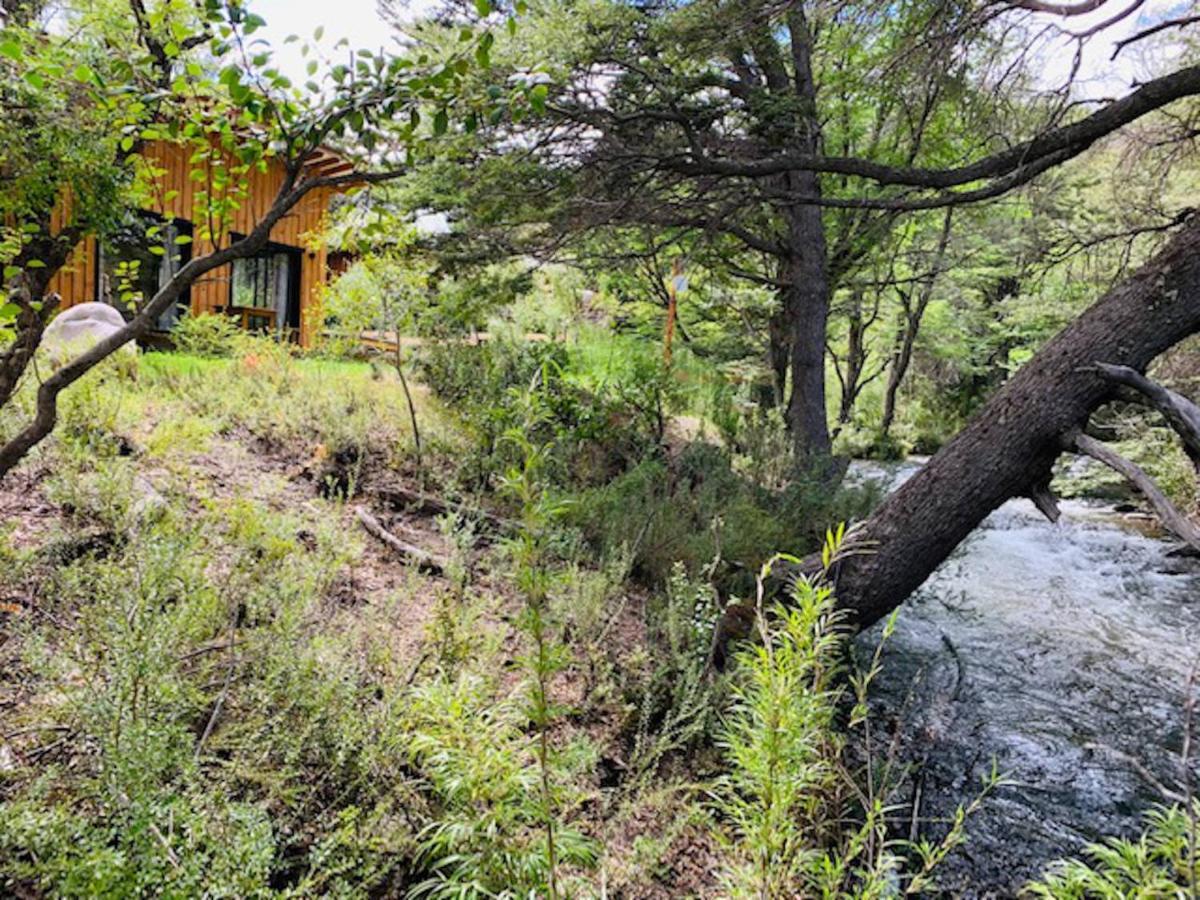 Kingfisher De Los Andes Villa Meliquina Exteriér fotografie
